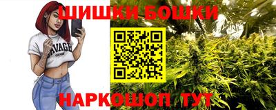 МДПВ Пушкино