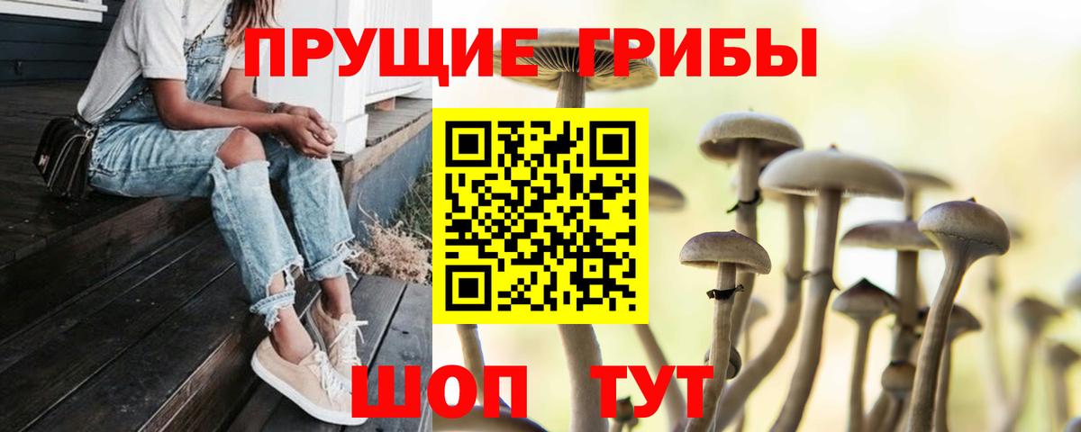 наркошоп  Псилоцибиновые грибы Psilocybine cubensis  Вход с VPN  Протвино 